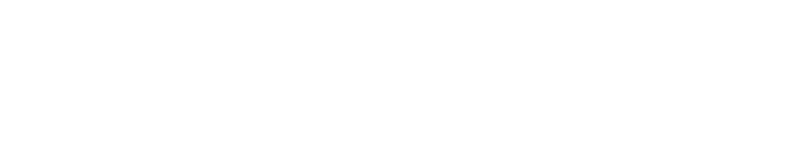 Tech Rise Services